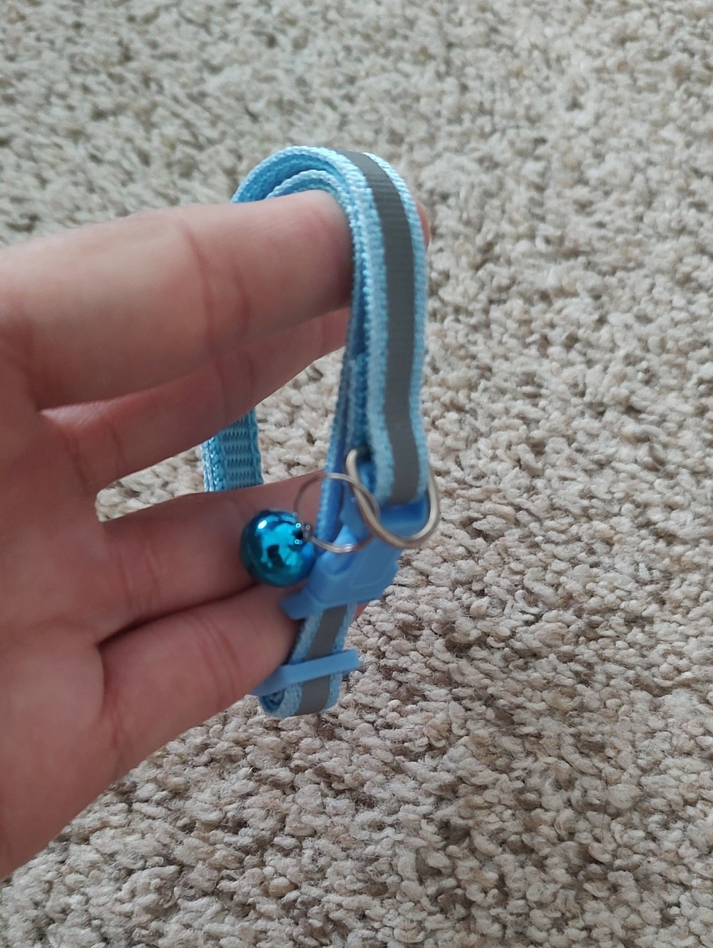 (8) Reflective Cat Collars - Picture 3 of 10